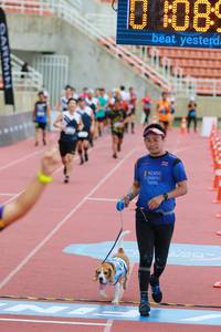 BIB: 580
                            <button type="button" onclick="openModal(4598940)" class="btn btn-primary btn-sm float-right btn-popup" data-toggle="modal" data-target=".modal-high-quality">
                        <i class="fas fa-shopping-cart"></i> Add to Cart
                    </button>
                                            <button type="button" onclick="isThisMe(4598940, true)" class="btn btn-success btn-sm float-right btn-popup btn-isme hidden" data-toggle="tooltip" data-placement="bottom" title="นี่คือรูปของคุณใช่ไหม คลิกที่นี่เพื่อเอาเข้าอัลบั้ม">
                        <i class="fas fa-plus"></i> Add to album
                    </button>
                    <button type="button" onclick="isThisMe(4598940, false)" class="btn btn-warning btn-sm float-right btn-popup btn-isnotme hidden">
                        <i class="fas fa-ban"></i> Remove from album
                    </button>